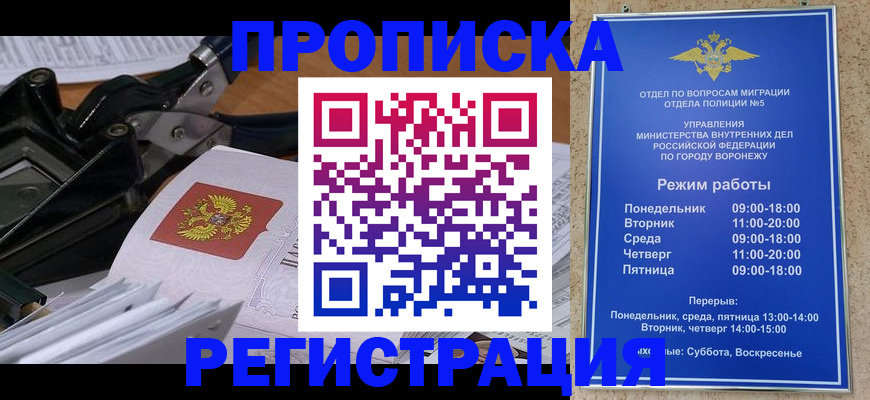 прописка законно в Бердске